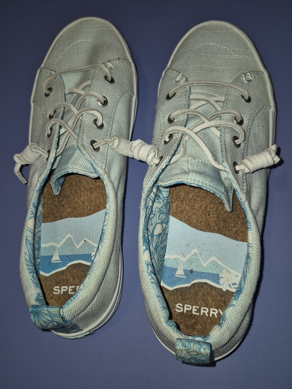 Sperry Kids Light Blue Canvas Lace-Up Shoes